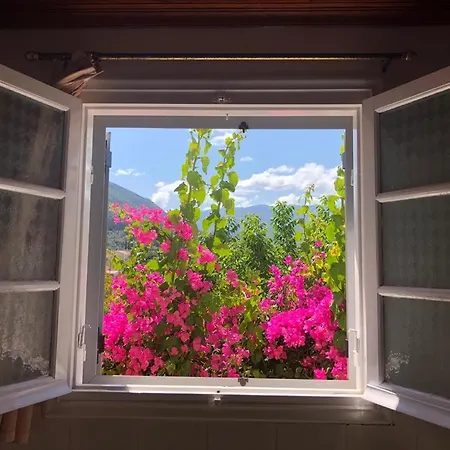 Tilde On The Beach, Apts - Kefalonia Apartment
